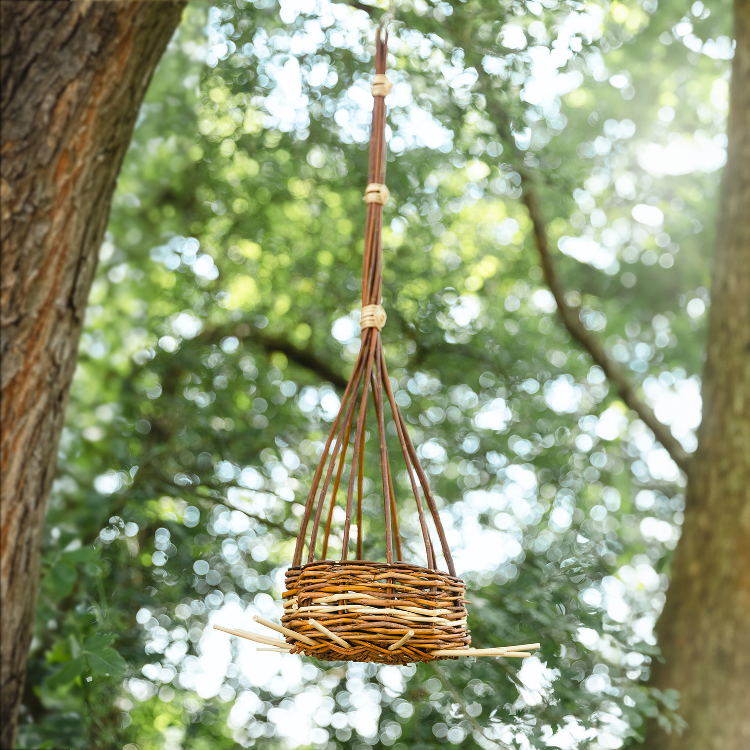 Mangeoire - 65 € / pers.