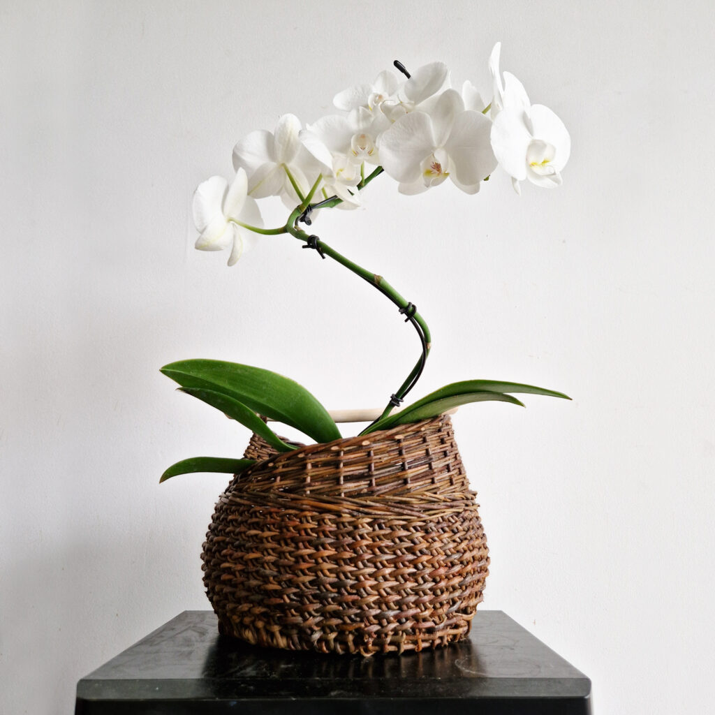 Panier portefeuille, en tressage néolithique. Création de Stéphanie BIDAULT, artisan vannier de l'atelier Vannerie Libre à Tours. Vannerie artisanale traditionnelle